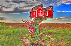 Letterbox Amish Land, 2010